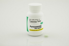 Furosemide 20mg, Training Tablets, 100/bottle, 1/each