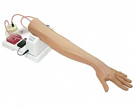 Intravenous Injection Arm 1, 1/each