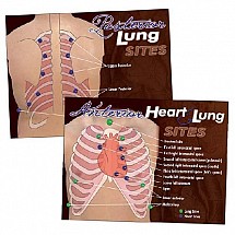 Anterior and Posterior Heart and Lung Sites Poster Set