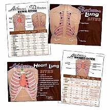 Heart and Lung Sites Visual Aids Complete Set, 1/each