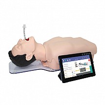 Airway Assessment Training Model