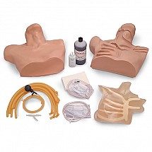 Life/Form Central Venous Cannulation Simulator, 1/each