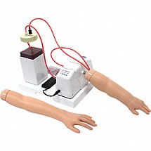 Intravenous Injection Training Infants Arm Model, 1/each