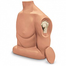 Humerus Intraosseous (IO) Trainer, 1/each