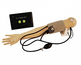 Blood Pressure Assessment Trainer, 1/each