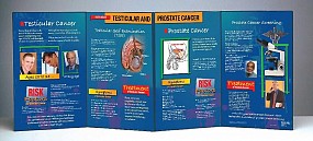 Facts About Testicular And Prostate Cancer Folding Display, 1/each