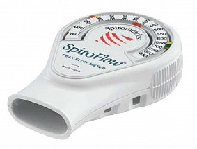 SpiroFlow Adult Peak Flow, 1/each