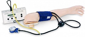 Blood Pressure Training Arm, 1/each