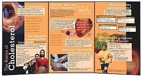 The Basics of Cholesterol Display, 1/each