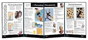 Preventing Osteoporosis Display, 1/each