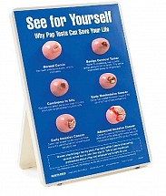 Why PAP Tests Can Save Your Life Easel Display, 1/each