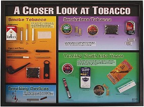 A Closer Look at Tobacco 3-D Display, 1/each