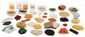 Faux Foods Starter Package, 1/each