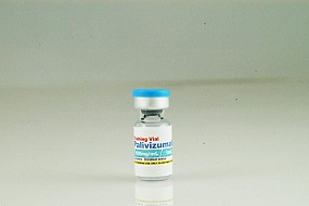 Palivizumab 100mg/mL, Training Vials, 25/pack