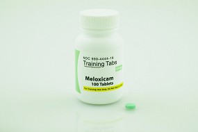 Meloxicam 15mg, Training Tablets, 100/bottle, 1/each