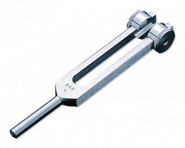 Tuning Fork 256 with Weight, 1/each